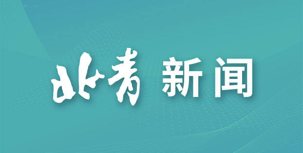 兔子, img